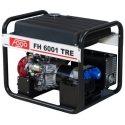 Бензиновый генератор Fogo FH6001TRE с АВР
